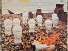 Cressida Asylum Rare UK Vertigo Swirl Original Superb LP In Top Condition