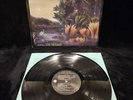 Fleetwood Mac: Tango in the Night 1987 LP / Warner 1-25471 / Cleaned NM/NM