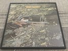 Framed Jimmy Buffet Down To Earth 1970 Debut LP 33 Record Album Barnaby Label