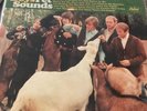 The Beach Boys PET SOUNDS Orig CAPITOL LP 1966 MONO GEM EX/EX