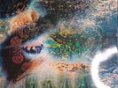 Pink Floyd MONO a saucerful of secrets VINYL RECORD ALBUM red vinyl exact repro