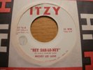 USA 45;  Mickey Lee Lane  
