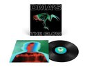 DMA's - The Glow (NEW 12
