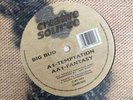 Big Bud - Temptation / Fantasy (12