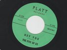 GARAGE  ROCKER 45 - the FIVE OF US - HEY YOU - HEAR 1966 FIRST LABEL AZ PLATT