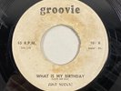 Groovie 101 June August Hip Kitty To Bopper / My Birthday 7