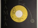 The Supremes / Buttered Popcorn & Who's Loving You / 2015 Tamla/TRM 45 / MINT