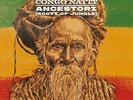 Congo Natty - Ancestorz (Rootz Of Jungle) (NEW 2 VINYL LP)