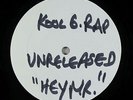 Kool G Rap - Hey Mister Mister 12