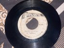 PARAGONS - HAVE YOU EVER BEEN IN LOVE   CHANGE YOUR STYLE mp3