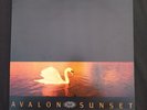Van Morrison - Avalon Sunset -Vinyl LP A1 B1  UK  NEAR MINT VINYL CONDITION
