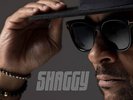 SHAGGY - HOT SHOT 2020 (2 LP) USED VINYL