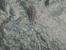 Felt - Ignite The Seven Cannons | [Black Vinyl LP] | Cherry Red