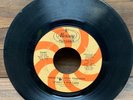WHATT FOUR Dandelion Wine/You're Wishin' I Was Someone Else 45 Psych Mercury VG