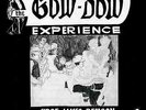 Prof James Benson - The Gow-Dow Experience | [Black Vinyl LP] |