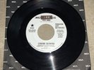Lynyrd Skynyrd - Free Bird 45 Lp White Label ***PROMO***, 1973 US, MCA Records