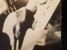 Led Zeppelin Live at the Newport Jazz Festival 2 Vinyl Records SPECIAL AUCTION