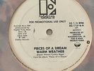 PIECES OF A DREAM 12