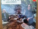 Sarofeen And Smoke - S/T LP   NM Sealed Original   Psych Rock