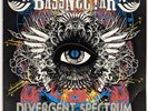 RARE Bassnectar Divergent Spectrum Limited Edition Vinyl Record 2x LP Dubstep