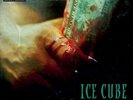 Ice Cube Everythangs Corrupt (Vinyl) 12