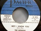 HEAR IT 60's Northern Garage 45 rpm The Monzas 