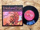 Ween “Tried And True” B/W “Mountains And Buffalo” 7” UNPLAYED Vinyl Record