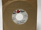 John Hammond 'I Wish You Would / I Can Tell' 1966 PROMO Blues 45 Red Bird 047 EX