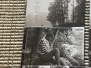 TAYLOR SWIFT Folklore 8 LP Bundle Vinyl Set Brand New
