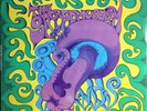 The Sacred Mushroom-same US psych lp reissue new