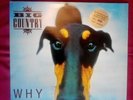 Big Country Why The Long Face 1995 Vinyl Near Mint Rare