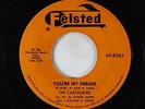 Doo-Wop R&B 45 - Castaleers - You're My Dream/I'll Be Around - Felsted