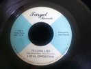 LOYAL OPPOSITION TELLING LIES RARE WISCONSIN GARAGE 45 ON TARGET RECORDS VG+