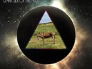 Dark Side Of The Mule by Gov't Mule (Record, 2023) Free US Shipping Sealed