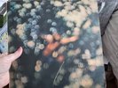 Pink Floyd Obscured By Clouds Vinyl 1972 SHSP 4020 RARE