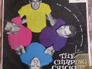 Buddy Holly & the Crickets - The Chirping Crickets - 1964 Popular LP