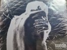 SUEDE - AUTOFICTION CLEAR LP VINYL RECORD SEALED & SIGNED ART CARD PRINT + CD