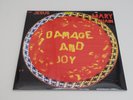 The Jesus and Mary Chain : Damage and Joy 12