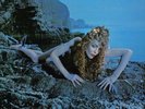 Roxy Music – Siren [NEW] 12
