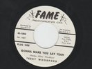 NORTHERN SOUL 45 - TERRY WOODFORD -  GONNA MAKE YOU SAY YEAH  -HEAR-1966 DJ FAME