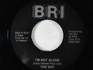 Power Pop 45 - The Shy - I'm Not Alone - BRI - obscure