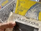 3 Buzzcocks Singles Spiral Scratch Why She’s A Girl Orgasm Addict