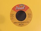 JOE TEX - UNDER YOUR POWERFUL LOVE  - DIAL - NM