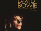 David bowie-  a new career in a new town vinyl box/ 13 Lp‘s