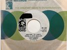 LOU ROBERTS Everything You Always Wanted to Know NORTHERN/SWEET SOUL DJ 45 *hear