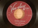 John Lee Hooker  Mambo Chillun/Time Is Marching   Blues 1955 Vee-Jay Records