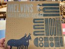 The Melvins Hostile Ambient Takeover Tour Letterpress Cover 36/44