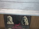 SWEET SAVAGE - Glam Metal EP  produced by Dana Strum - Self Titled OOP Private