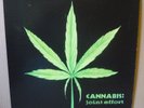 CANNABIS Joint Effort LP AKARMA RECORDS 1972/1999 ITA re+180gr AK 061