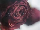 Trevor Something – Lost Love / Lost Memories | Limited Vinyl LP | Synthwave | NM